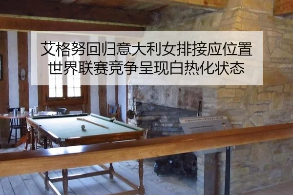 ai-ge-nu-hui-gui-yi-da-li-nv-pai-jie-ying-wei-zhi-shi-jie-lian-sai-jing-zheng-cheng-xian-bai-re-hua-zhuang-tai-2-415.jpg