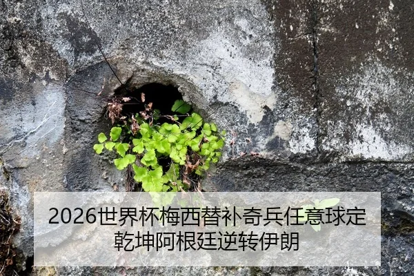 2026世界杯梅西替补奇兵任意球定乾坤阿根廷逆转伊朗