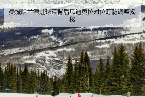 man-cheng-ha-lan-de-jin-qiu-huang-bei-hou-gua-di-ao-la-dui-wei-ding-fang-tiao-zheng-jie-mi-2-392.jpg